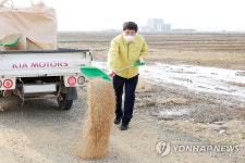 천수만 서산간척지서 흑두루미 먹이 주는 서산시장