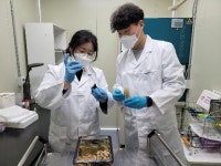 원자력연, 식용곤충 기반 항암 원료 추출물 기술 이전