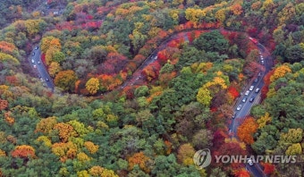 팔공산 국립공원 승격 추진…대구시·경북도 주민대표 의견수렴