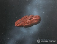 정체성 논란 오우무아무아 질소 얼음으로 된 행성 파편