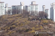 개나리 피기 시작한 서울 응봉산