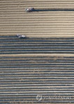 밭에 비닐 씌우는 농민들