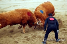 힘 대 힘의 격돌
