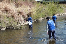수원 원천리천을 깨끗하게…정화활동하는 삼성전자 임직원