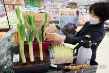 대파 집에서 키워 드세요!