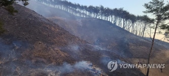 홍천군 화촌면 산불 현장