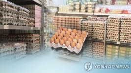 농업회사법인 해밀 주식회사 계란유통센터 | "유통업자가 11억원 상당 계란 납품 않고 잠적"…경찰 수사