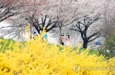 봄 꽃바람 못막는다…자제 요청에도 전국 명소마다 상춘객 북적