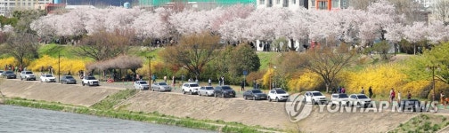 줄지은 봄 나들이객