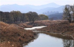 달성습지생태교육회 | 대구 달성습지 20년 만에 생태복원…4월부터 개방