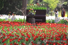 제주 한림공원 튤립축제