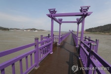 몽환적인 채색의 섬…미국 여행사이트 소개된 신안 퍼플섬