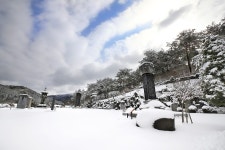 [걷고 싶은 길] 숲과 물이 곱고 역사가 숨쉬는 척야산수목원 길