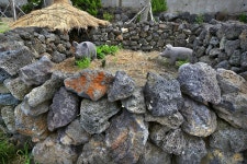 [imazine] 돌담길 따라 ① 바람이 빚은 제주 돌담