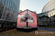 롯데월드타워에서 비대면 벚꽃축제 즐겨요
