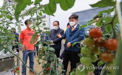 귀농 토마토농장 방문한 농촌진흥청장