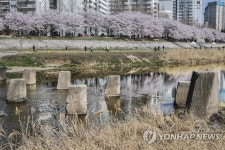 냉전의 유물에 찾아 온 봄