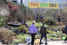 오늘은 식목일, 붐비는 묘목ㆍ화훼 시장