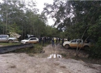 아마존 금광에 눈먼 광산업자 400여명 농장 난입…사상자 발생