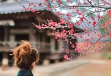 [imazine] 돌담길 따라 ② 흙돌담이 아름다운 달성 인흥마을