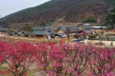 [imazine] 돌담길 따라 ② 흙돌담이 아름다운 달성 인흥마을