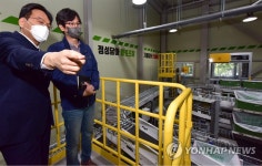 대형마트 스마트 스토어 운영현장 방문