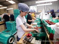 구인난 호주 고용단체, 유학생·워홀러 노동제한 완화 요구