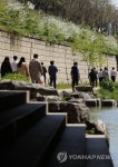 파릇한 봄, 직장인의 점심