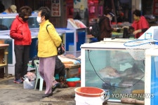 [르포] 걱정·탄식·원망 가득한 제주 수산시장…이런 날벼락 처음