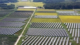 나주시 멀쩡한 논 염해 농지 둔갑 태양광 발전소 설치 제동