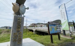 [알쏭달쏭 바다세상Ⅲ](11) 오도독 상큼…세계서 우리만 먹는 '미더덕'