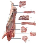 돼지 한 마리 살코기양은?…23년 만에 재산정