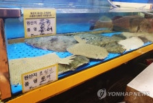울산 89곳 업체 대상 수입 수산물 원산지 표시 특별점검