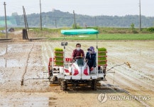 충남 서천서 올해 첫 모내기
