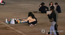 22시 넘은 한강시민공원, 모임은 계속