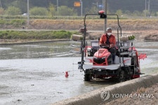 강원 양구군 첫 모내기 진행