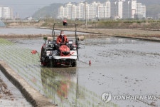 강원 양구군 첫 모내기 진행