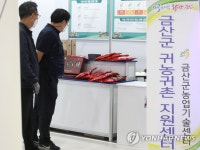 금산은 역시 인삼