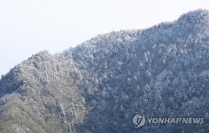 5월에 핀 눈꽃