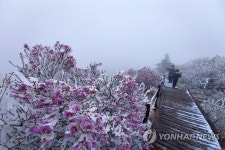 [픽! 구례] 5월 지리산 노고단에 눈꽃