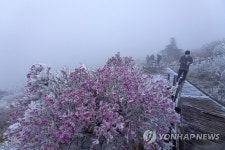 5월에 노고단에 내린 눈