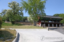 활짝 핀 포항 흥해향교 이팝나무