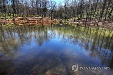 도롱이 연못