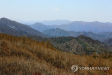 수려한 태백산맥 능선