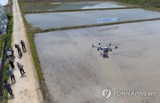 드론으로 볍씨 파종