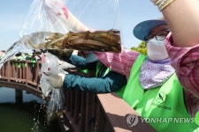 대구 도원지 환경보호 활동