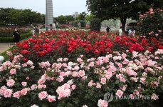 화려한 장미정원