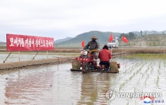 모내기 한창인 북한 청산협동농장