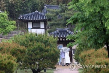 때 이른 더위 식혀주는 우중 산책