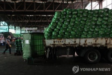 봄배추 나오며 도매가 다시 안정세